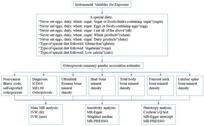 Associations between special diet and incidence risk of osteoporosis: a Mendelian randomization study